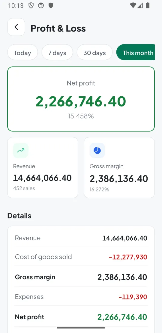 Profit and loss this month